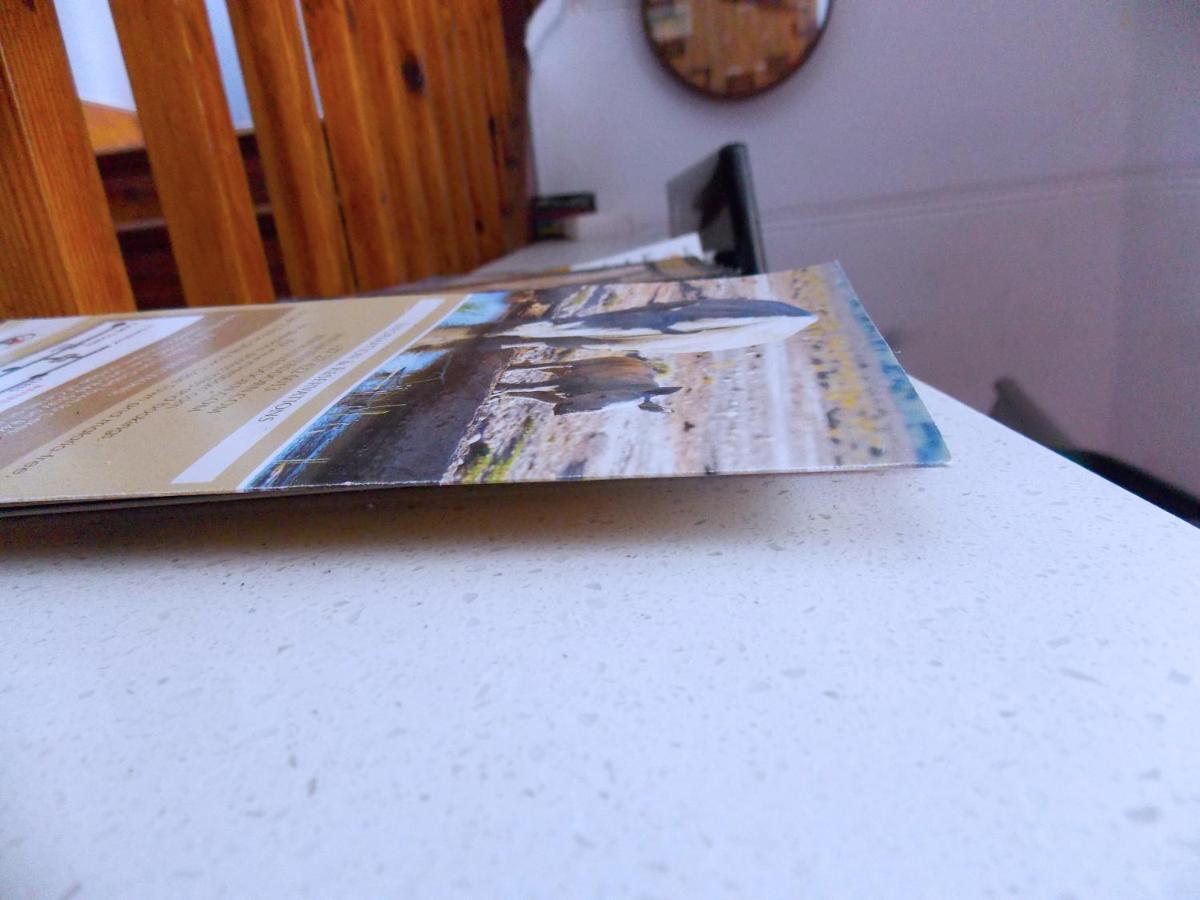 Hostel Trap Houz Backpackers Kapsztad Zewnętrze zdjęcie